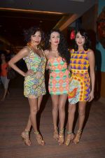 Diandra Soares,Binal Trivedi, Pia Trivedi at Lakme Fashion Week Day 1 on 3rd Aug 2012,1 (64).JPG